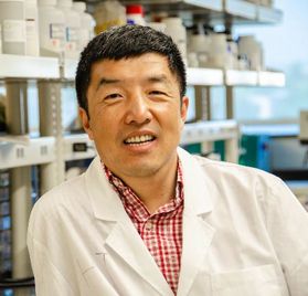 Headshot of WVU researcher Xingbo Liu. He is pictured inside of his lab wearing a white lab coat over a red checked shirt. He has short black hair. 