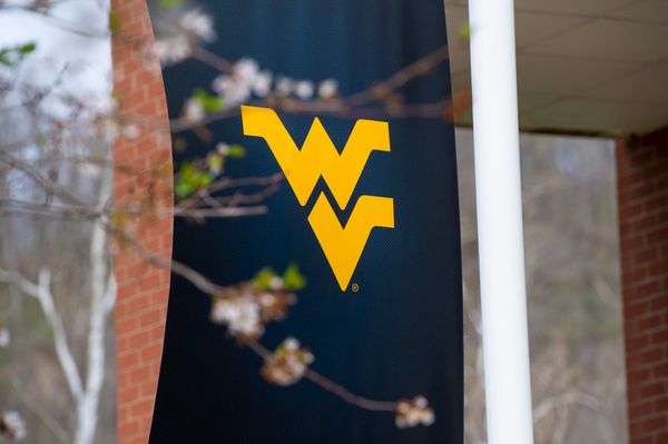 A blue banner with a gold Flying WV hangs outside. You can see the banner through tree limbs.