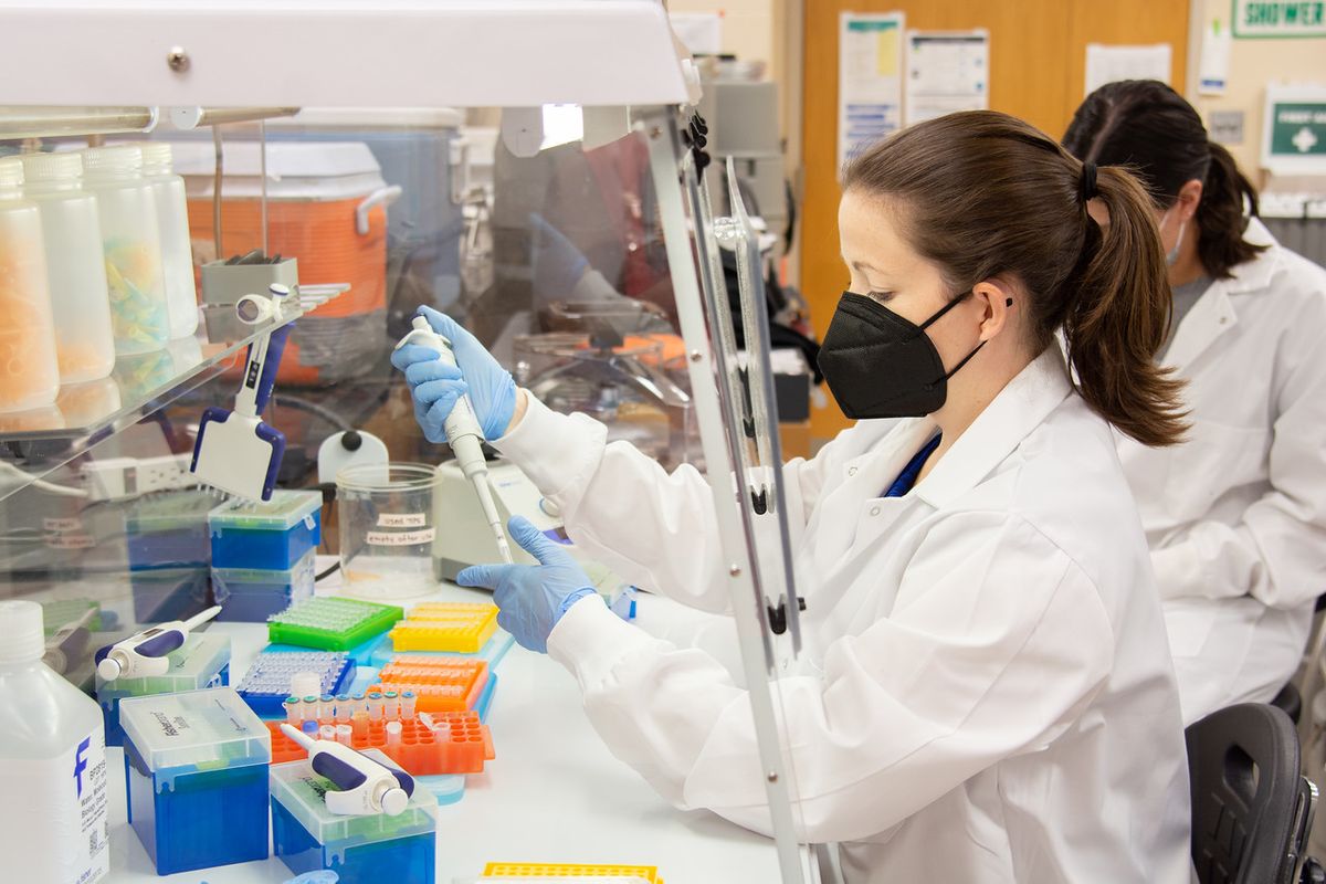 A picture of two researchers in a lab. The one closest to the camera has brown hair pulled back in a pony tail. She is wearing a white lab coat and blue surgical gloves She is handling equipment. The other researcher is hidden behind the first one. 