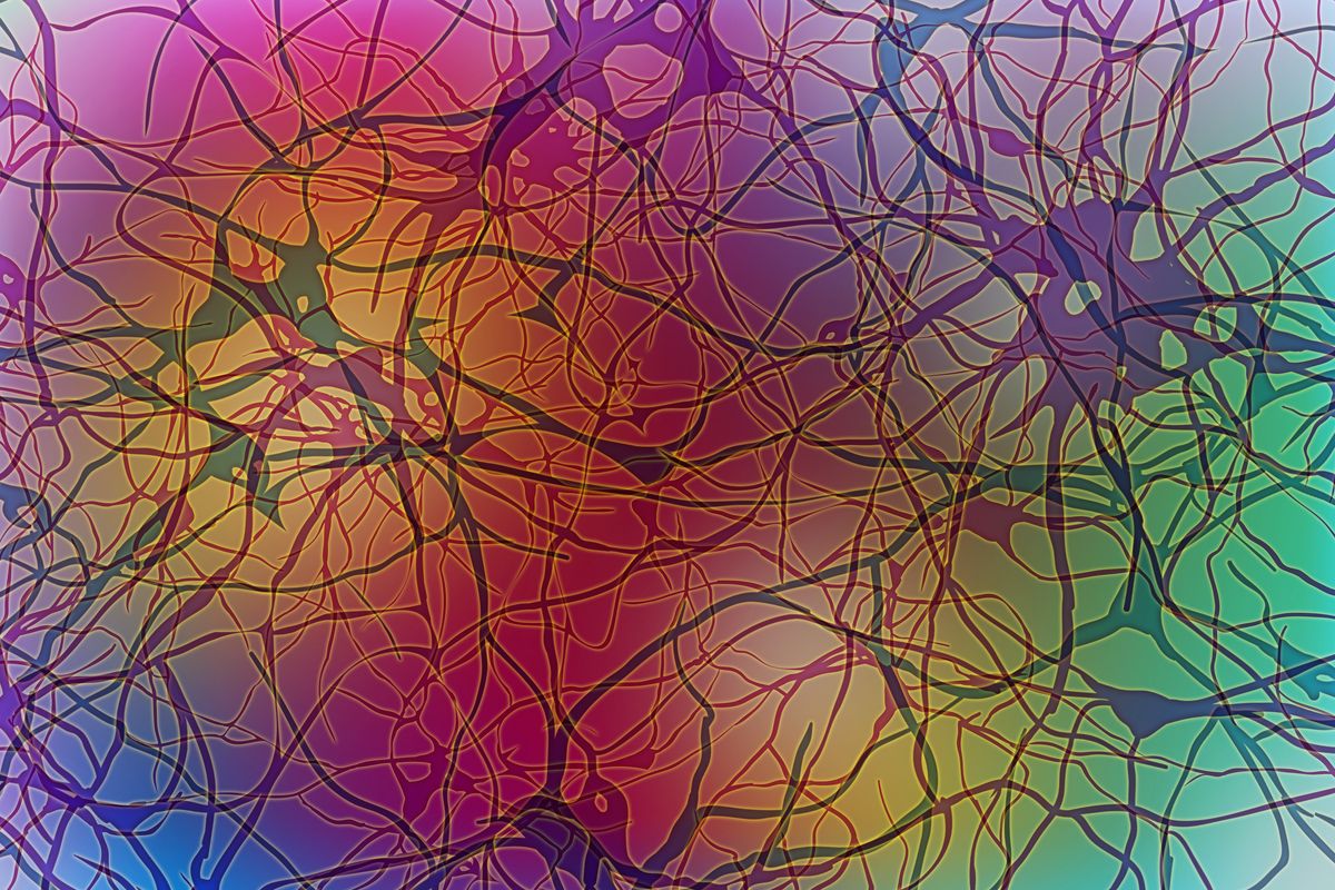 rainbow colors over squiggly lines representing neurons