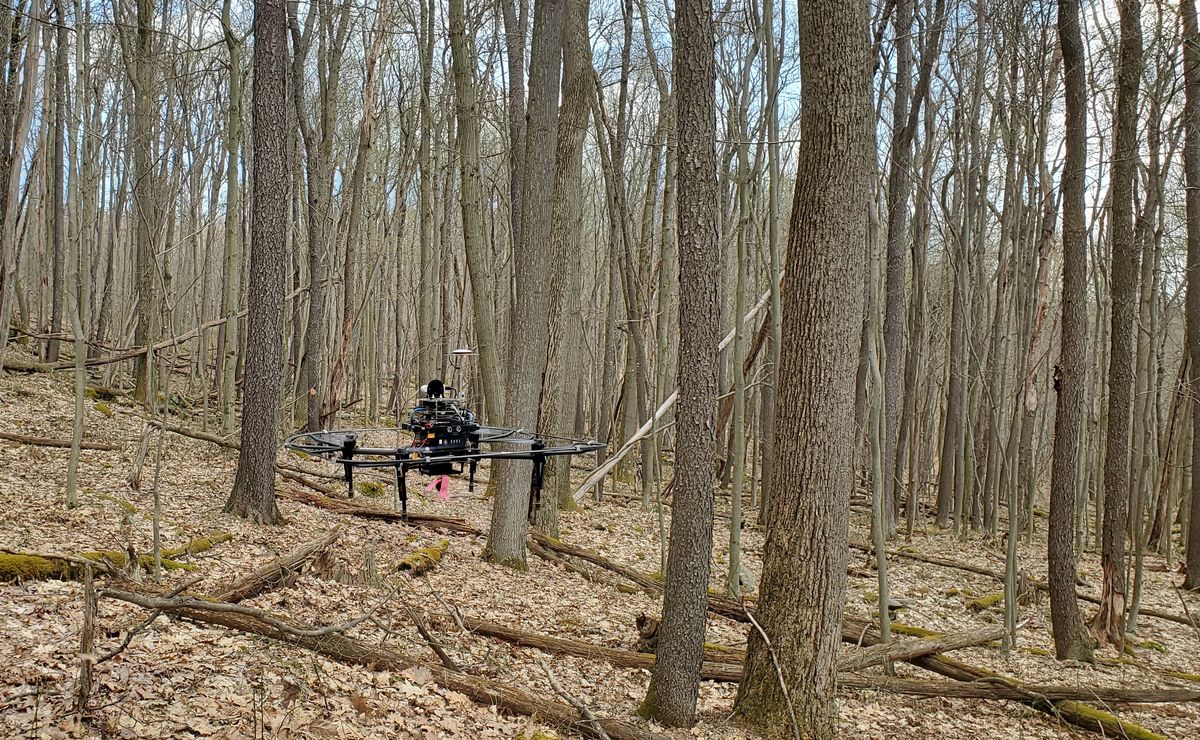An individual drone navigating a dense forest.