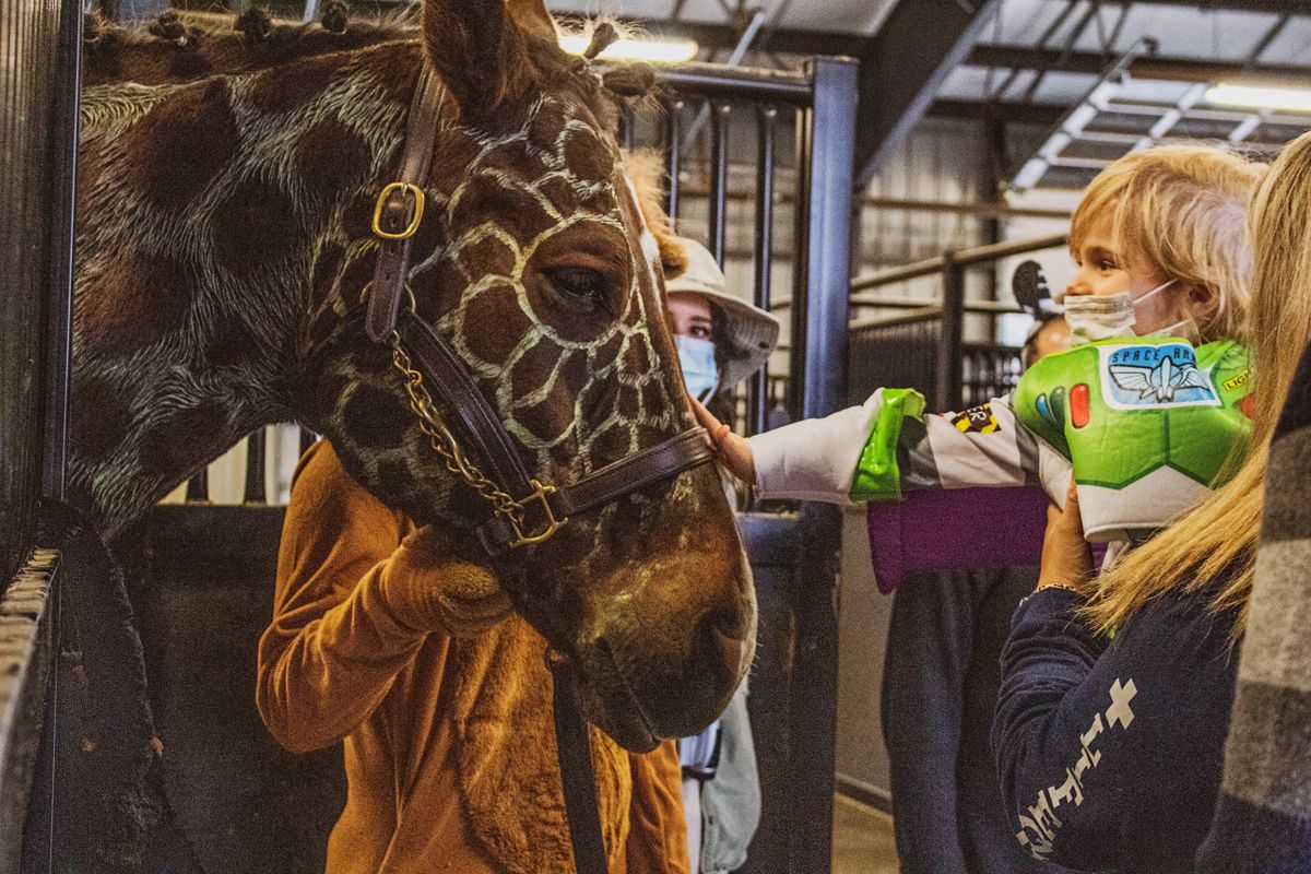 A blond child in a buzz lightyear halloween costume pets a horse made to look like a giraffe