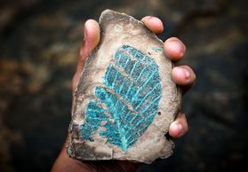 hand holding rock with blue leaf imprint