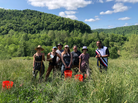 An image showing a group of WVU research students in a mountainous area. There are trees and green grass around them and they are carrying research equipment. 