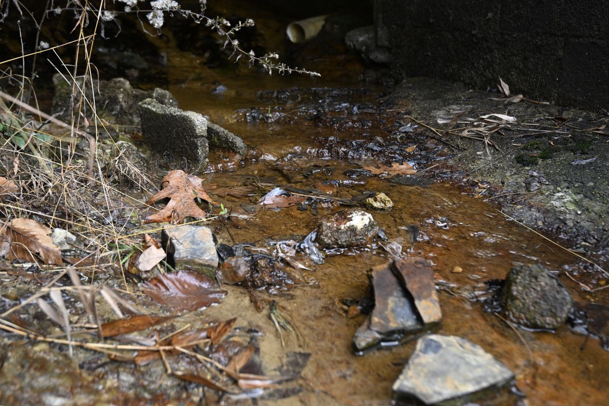 Water in lower Deckers Creek is shown with water running over rocks.