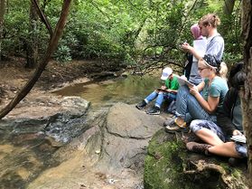 WVU students sketch a stream in one of WVU professor Vaike Haas' landscape architecture classes. There are five students in the photo standing or sitting on the stream bank with sketch books in hand. 