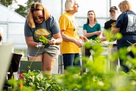 Veterans in Agriculture Training program participants shown in a high tunnel learning how to care for plants. There are five participants in the photo listening to a person speak. There is a woman caring for a plant in the foreground. 