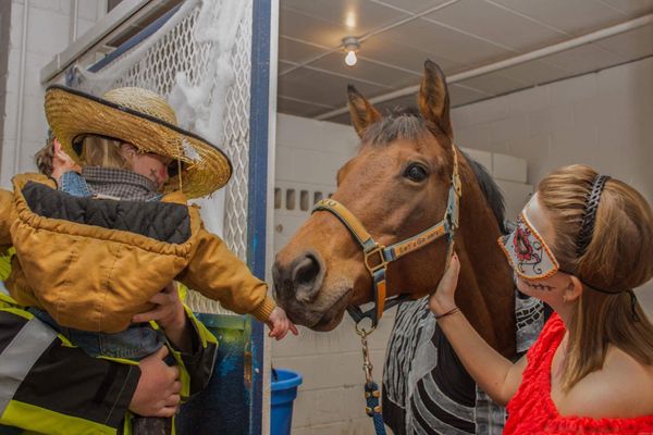 A child in Halloween costume greets a horse and a WVU student also in costume