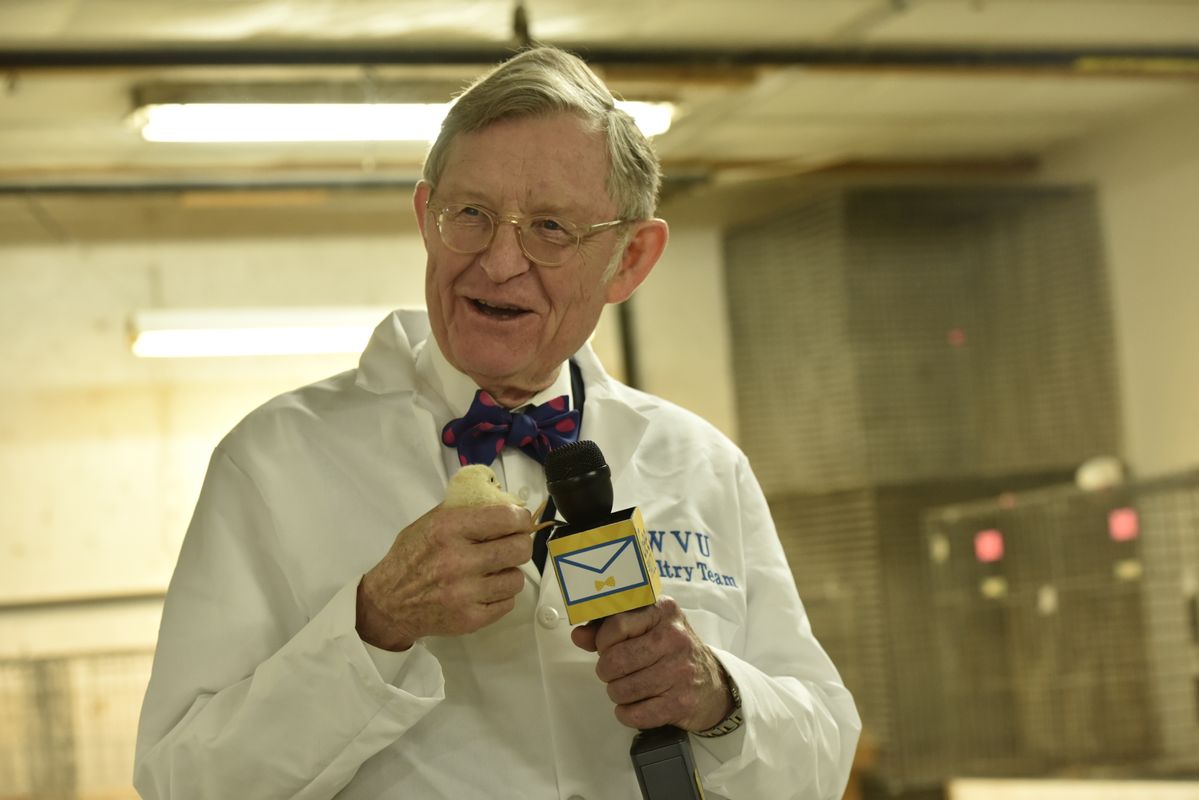 President Gordon Gee holding a baby chick.