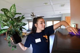 A brunette girl wearing a navy WV t-shirt holding a plant up in one hand while she wipes the top of a desk clean with the other.