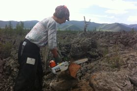 Woman with a chain saw works