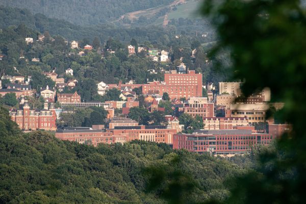 The WVU Downtown Campus is shown from a distance behind a group of trees.