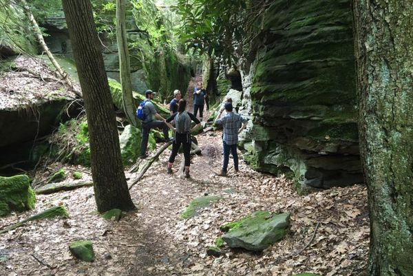 students gather to study Coopers Rock