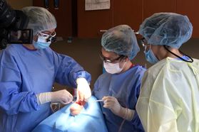 Doctor performs periodontal surgery with two assistants