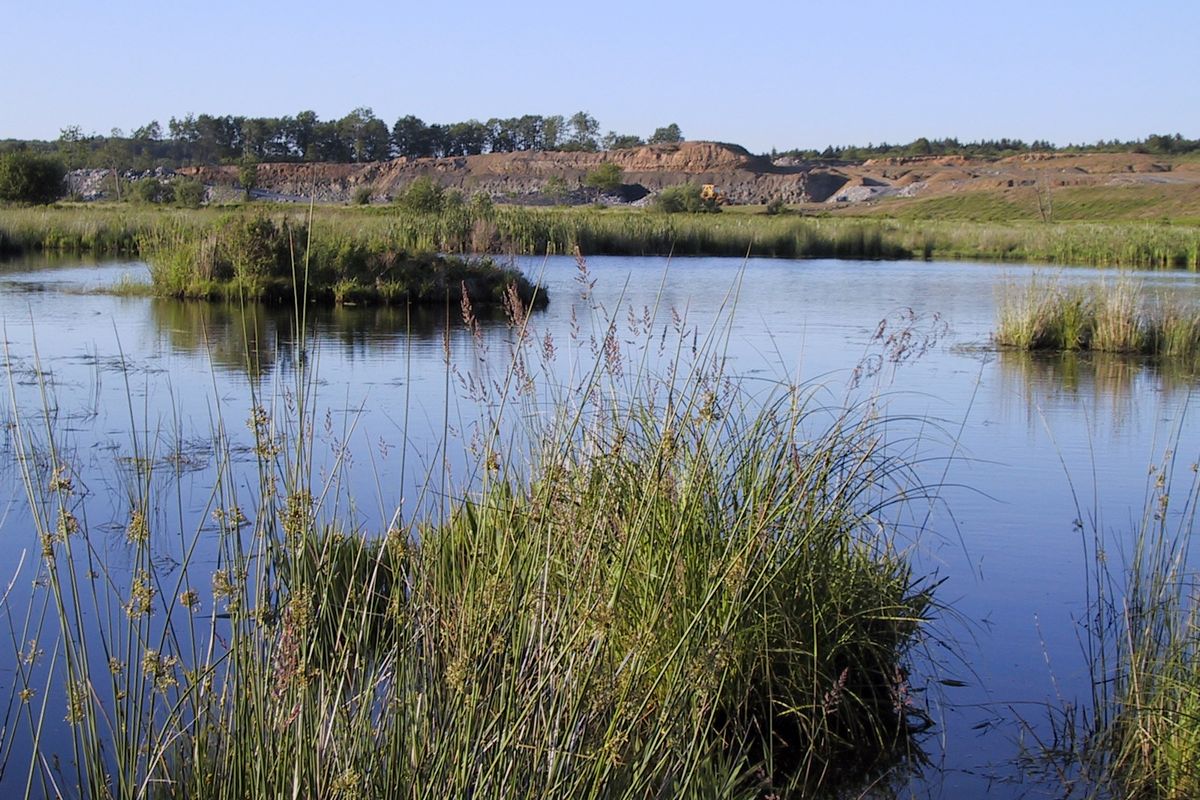 Wetlands with a mine site in the background