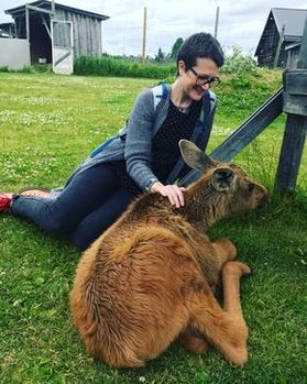 Woman with short hair and glasses sits down and pets a baby moose