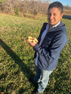 WVU Professor Carlos Quesada shows a moth-infested apple. He is standing in a field outdoors and is wearing a dark blue jacket with blue jeans. 