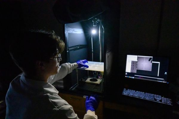 A student in a white lab coat is shown in a darkened lab with their back to the camera working on lab equipment while wearing blue latex gloves.