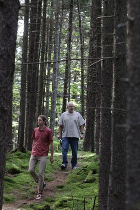 two men walk in the forest