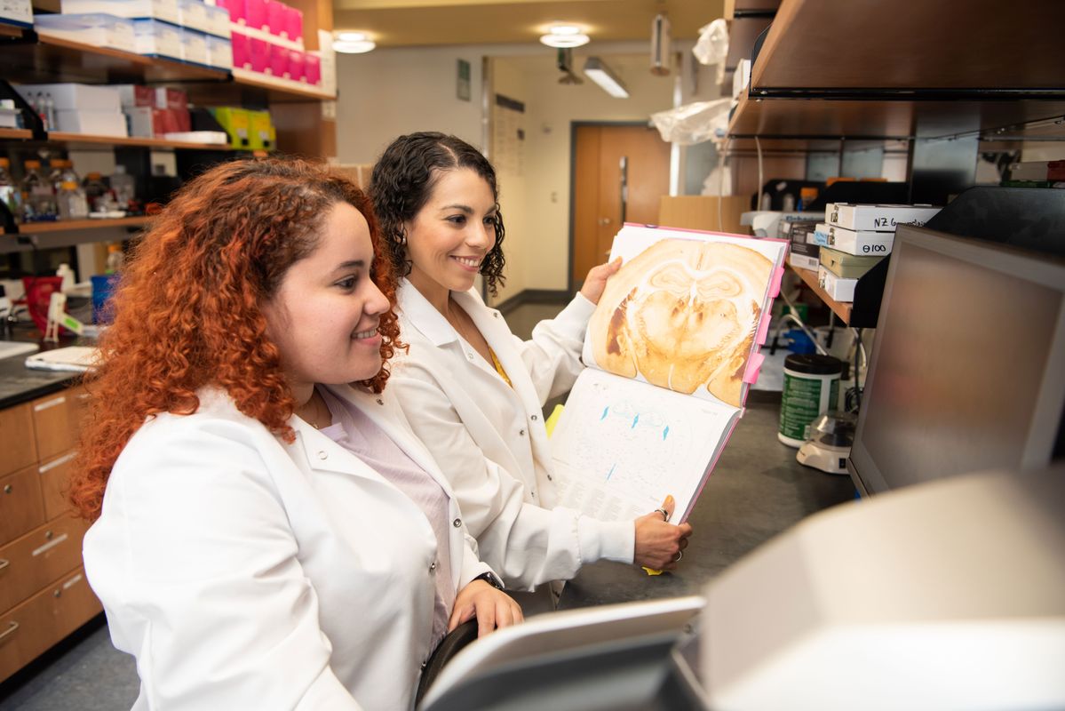 Two women wearing white lab jackets studying an image of a brain