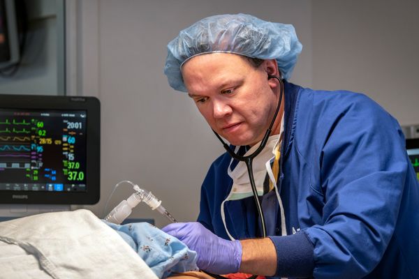 Doctor in blue scrubs performing surgery