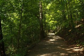 Core Arboretum trail