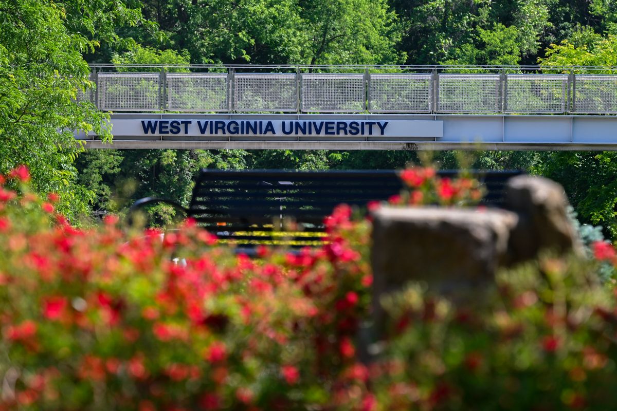 An image taken on the WVU campus. It shows flowering bushes in the foreground and the pedestrian bridge that runs through the heart of campus. There are green trees behind the bridge and the words: West Virginia University are affixed to it. 