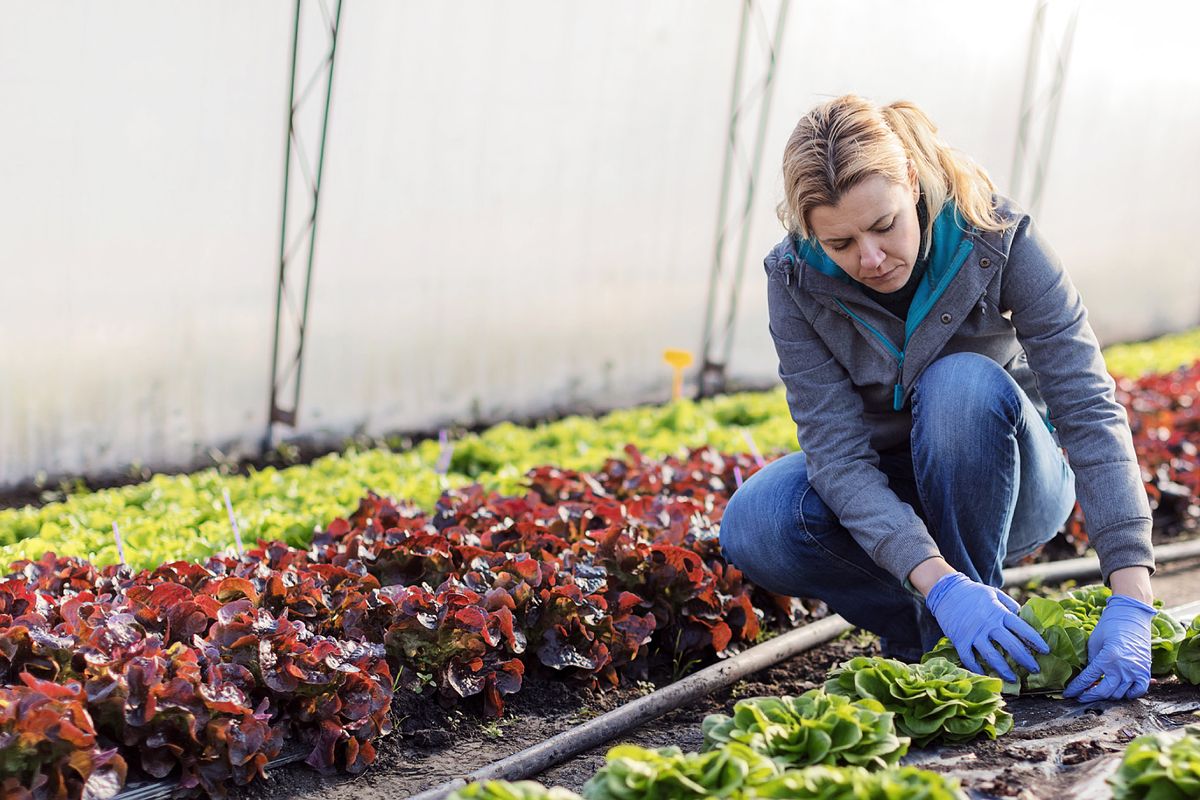 Woman kneels next to plants wearing blue sweatshirt with hair tied back