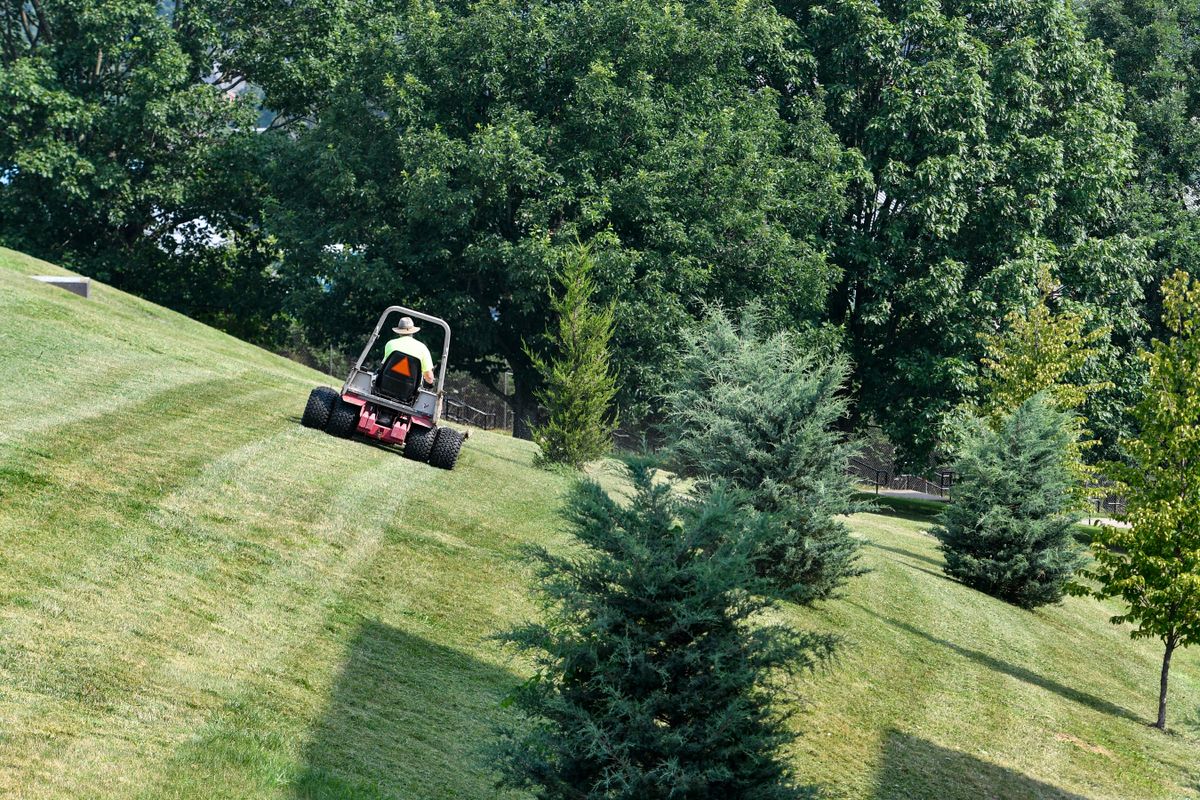 A person riding a law mower in a green yard with green leafy trees