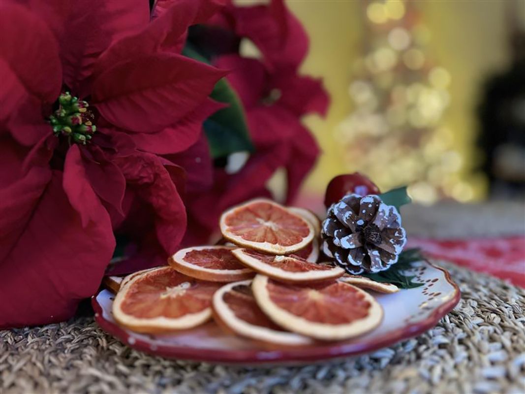 A holiday table with a plate of dried oranges resting near a red poinsettia. There is an illuminated tree in the background. 