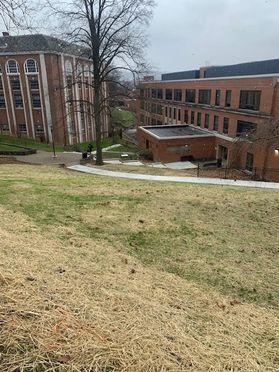 A hillside on the WVU Downtown Campus is covered in straw following completion of a steam line repair.