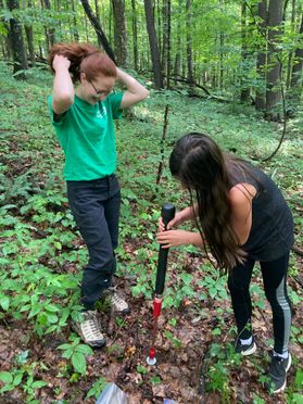 WVU students Dominick Cifelli and Jessica Burke conduct tree survey research in the Fernow Experimental Forest. 