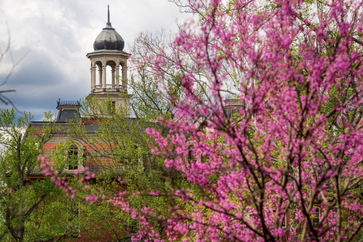 The top of Martin Hall is visible in the background against a sky with clouds. In the foreground is a tree with pink blooms.