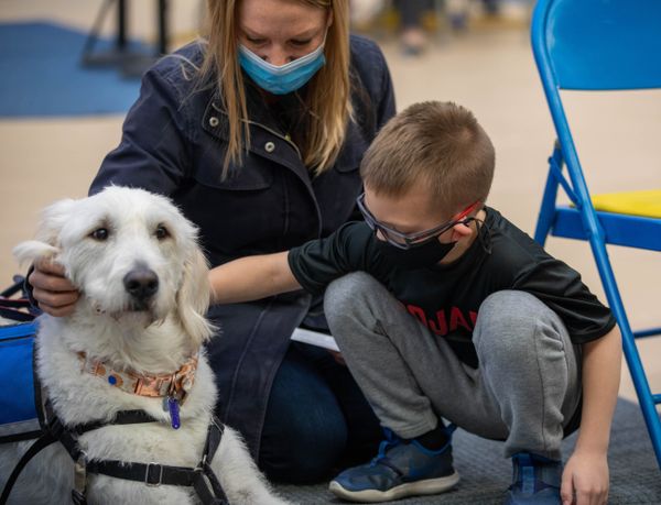 A child with short brown hair is wearing a black mask, dark shirt and gray pants white petting the next of a large white dog. An adult with long blonde hair and a blue mask is visible in the back of the photo.