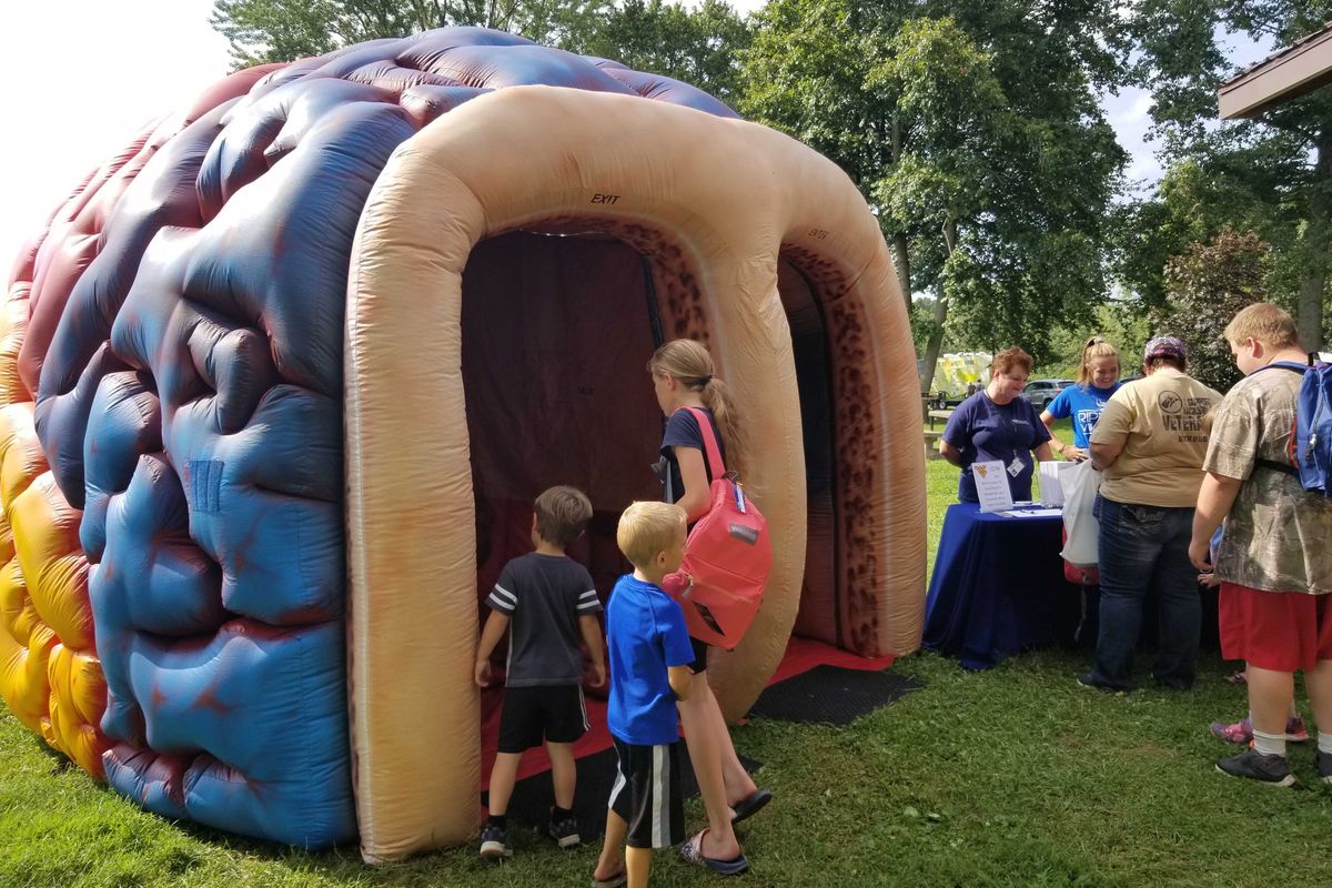 Two young boys and a young girl enter an inflatable brain at an event in a park.
