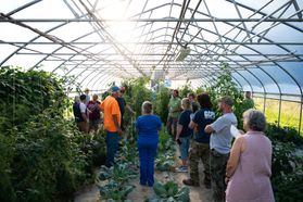 Participants in the Veterans Agriculture Training program gather in a high tunnel green house full of plants. There are about a dozen participants standing in the greenhouse listening to a horticulture specialist.  