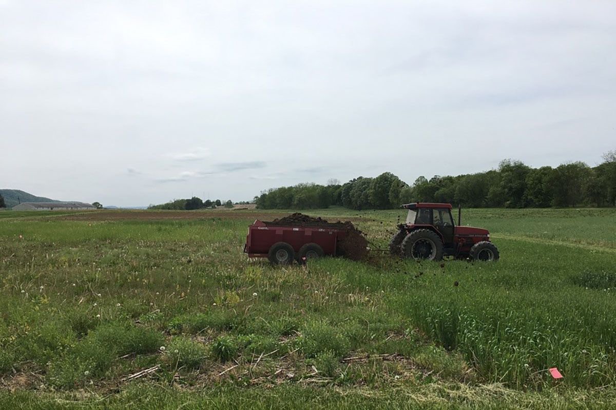 A manure spreader drives over a plot of land full of green grasses for a WVU research project about the use of manure in organic farming. 