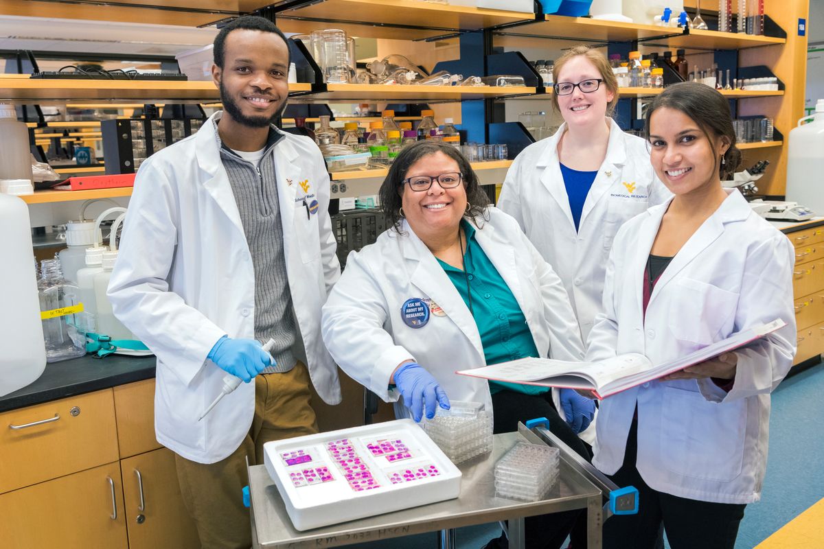 Candice Brown, an assistant professor in the WVU School of Medicine, works with her laboratory assistants (L to R) Divine Nwafor, an MD/PhD neuroscience student, Allison Brichacek, a PhD student of immunology and microbial pathogenesis, and Sneha Gupta, a second-year School of Medicine student. They are investigating how sepsis may precipitate and exacerbate dementia.