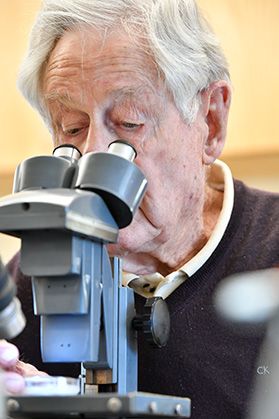 Mannon Gallegly, WVU plant pathologist professor emeritus, looks into a microscope while conducting research on tomato plants. 