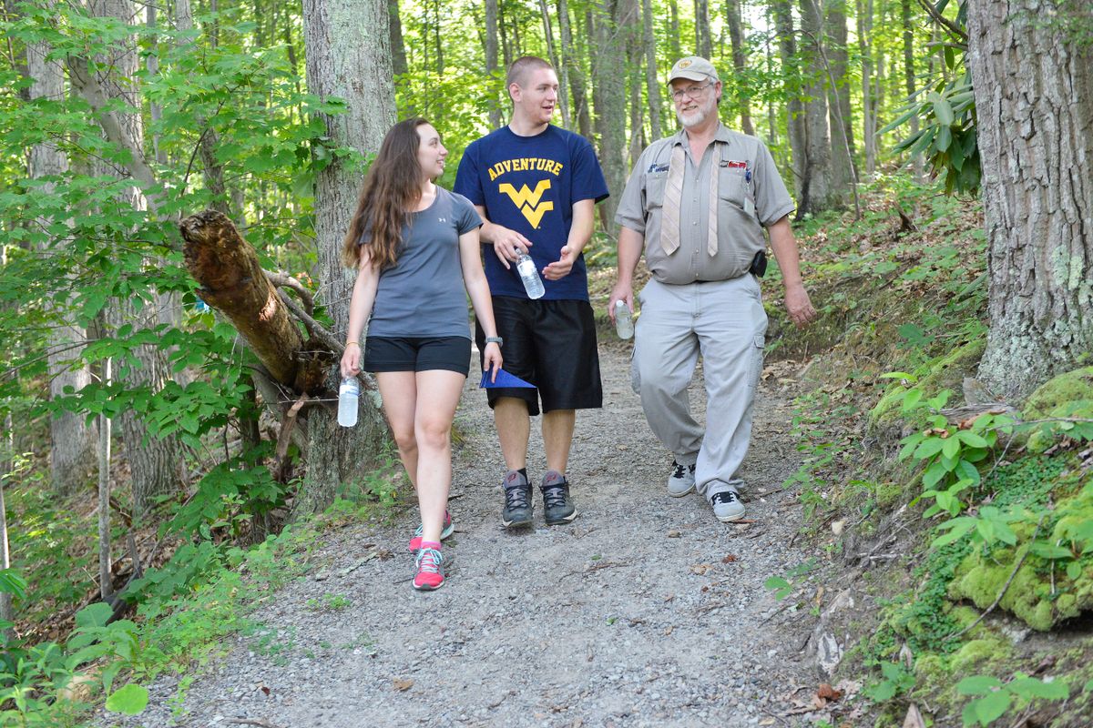 Three people walk through the woods on a wide gravel path