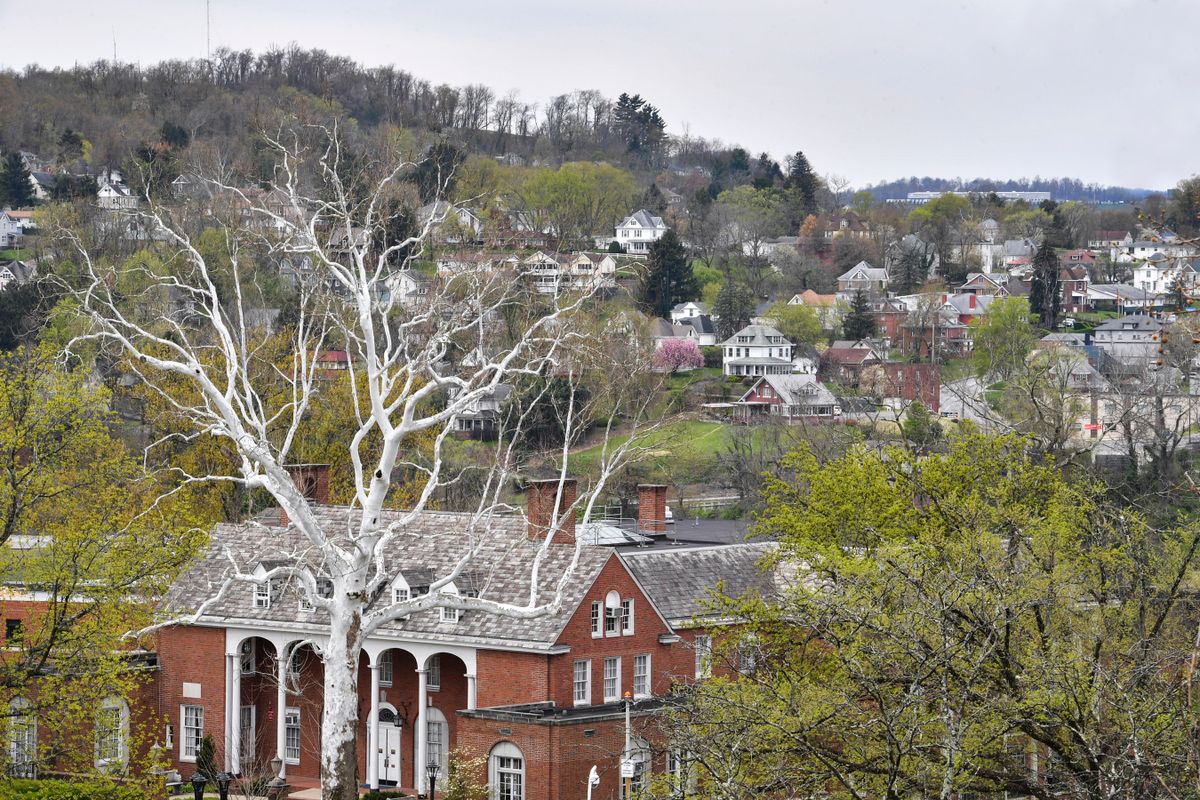 leafless tree in front of old brick building, houses on hillside in background