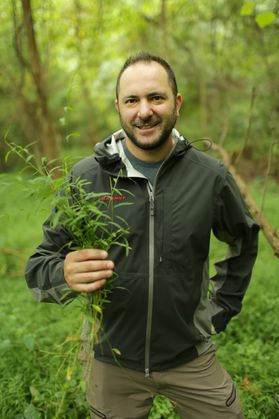 man stands in woods holding grass-like plant