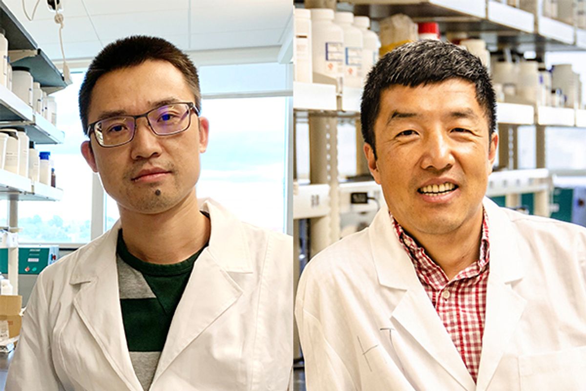 composite of smiling men in lab coats