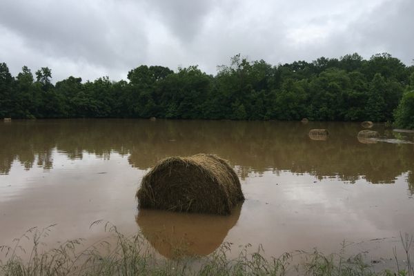 Extension flooded hay feature