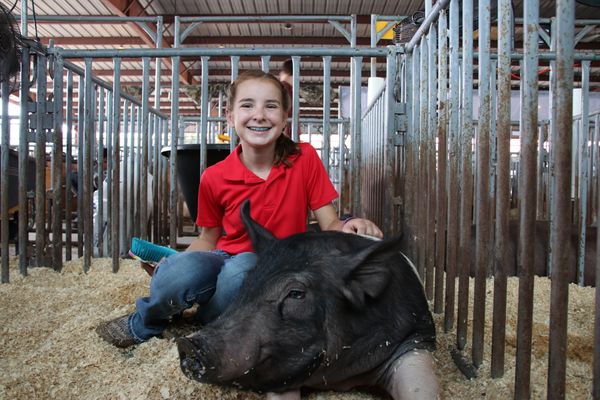 Teenage girl in a red polo shirt kneeling behind a black pig.