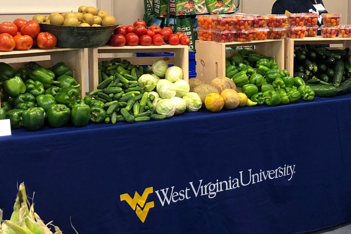 several varieties of vegetables sit on a WVU branded tablecloth