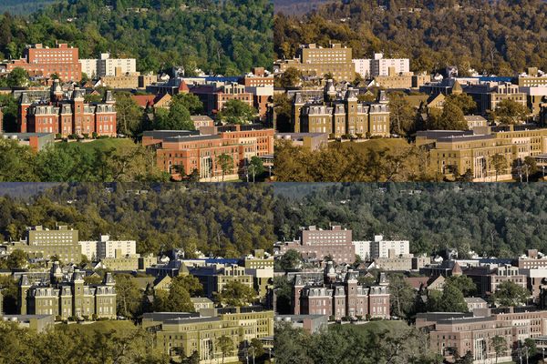 quadruplicate of several large buildings amid green trees with different color balances to mimic color blindness
