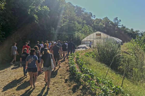A crowd of students walking through the forest towards a greenhouse