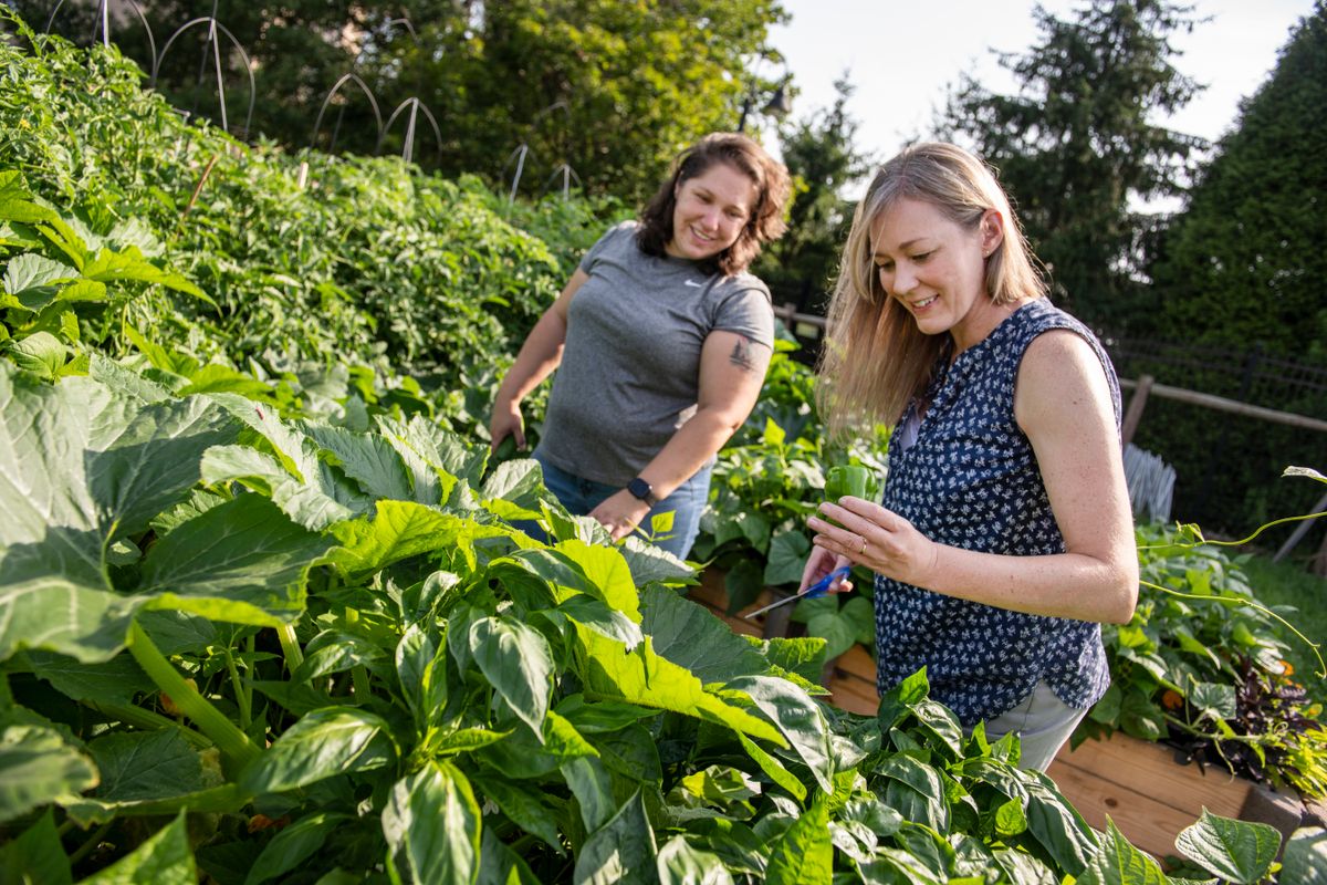 Two women standing in a garden holding a pepper