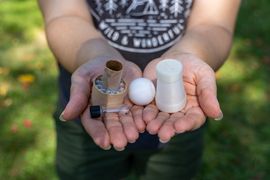 Weevil bug bombs, an innovative approach to combating the invasive Japanese Knotwood plant, are shown here in a pair of hands. The small cylinders hold the natural pests and can be dropped down into them by drones. 